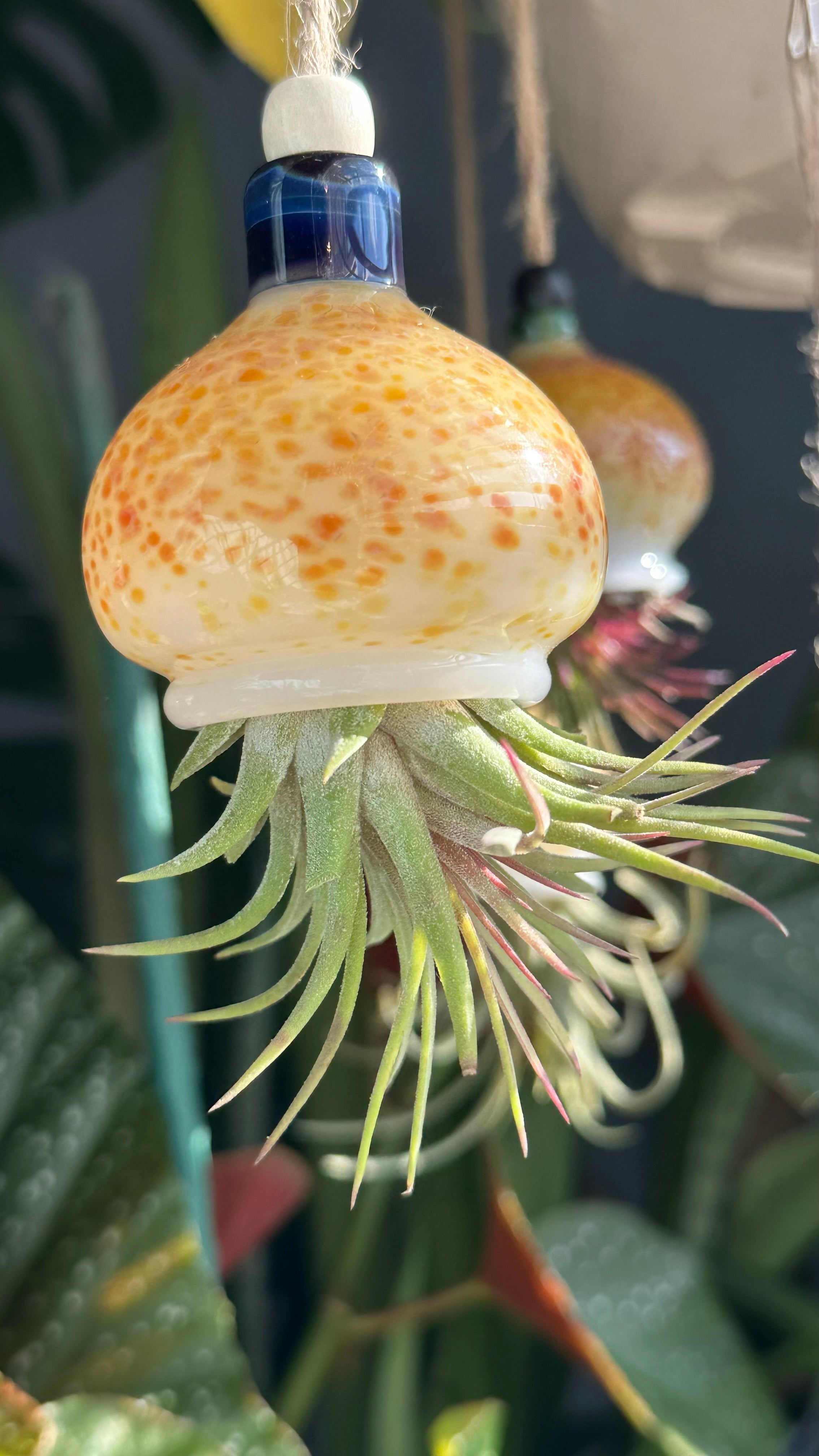 Jellyfish Airplant Hanger