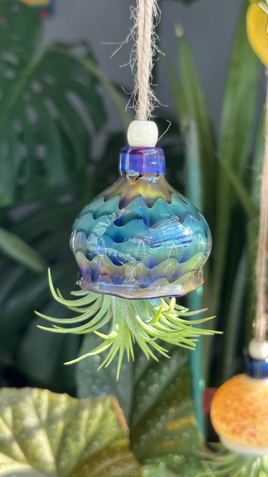 Jellyfish Airplant Hanger