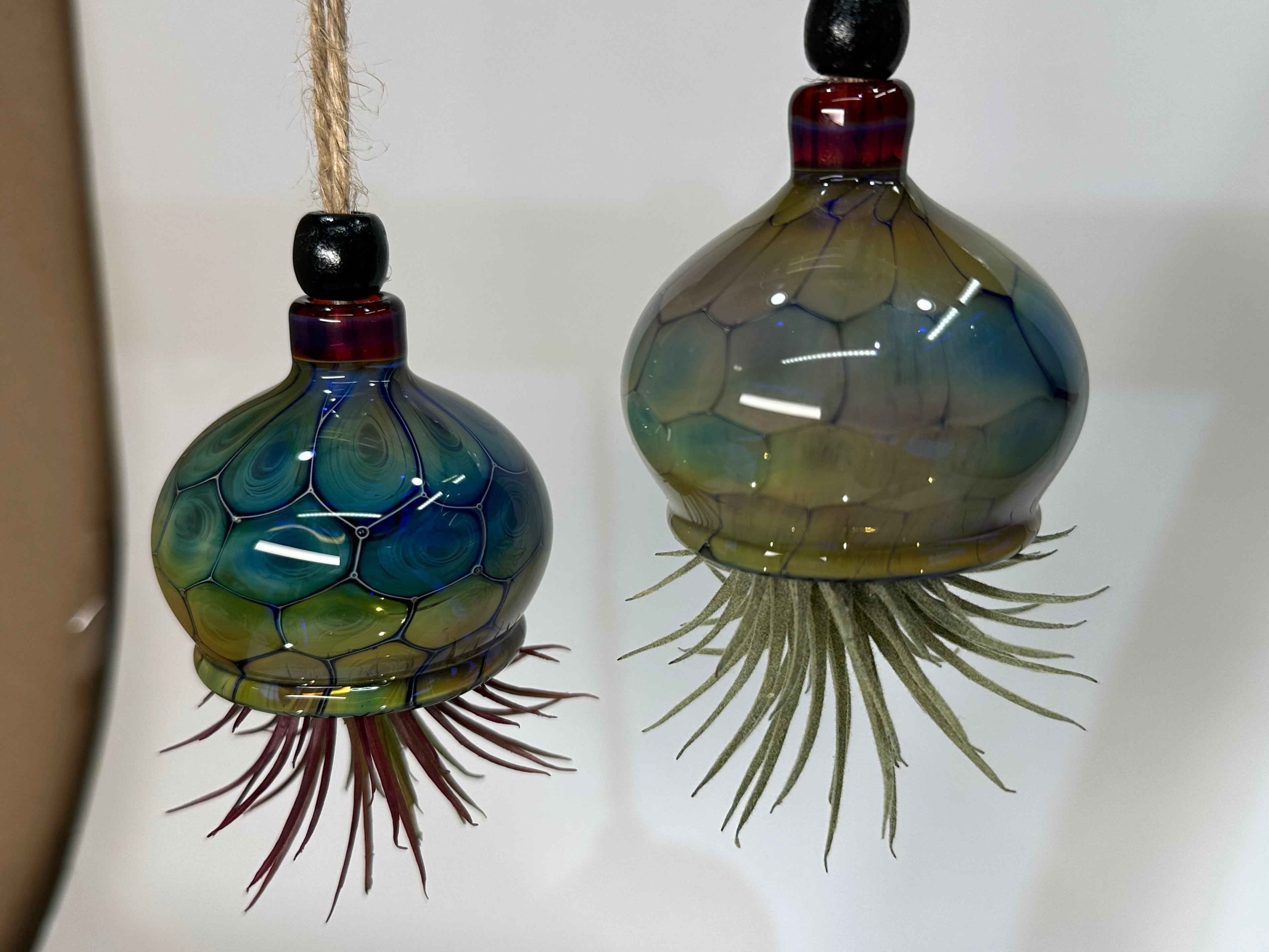 Jellyfish Airplant Hanger
