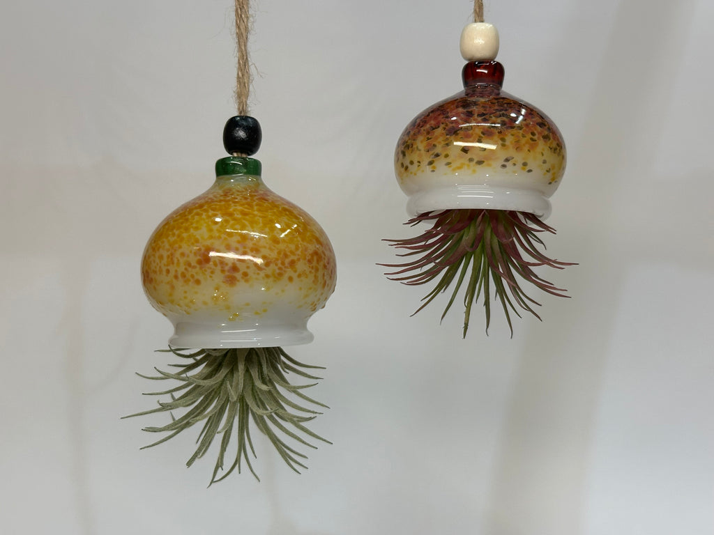 Jellyfish Airplant Hanger