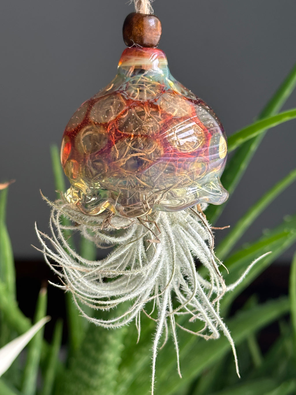 Jellyfish Airplant Hanger