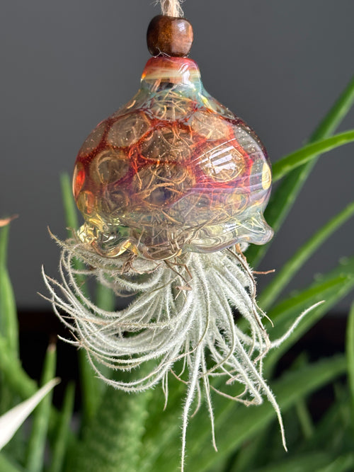Jellyfish Airplant Hanger