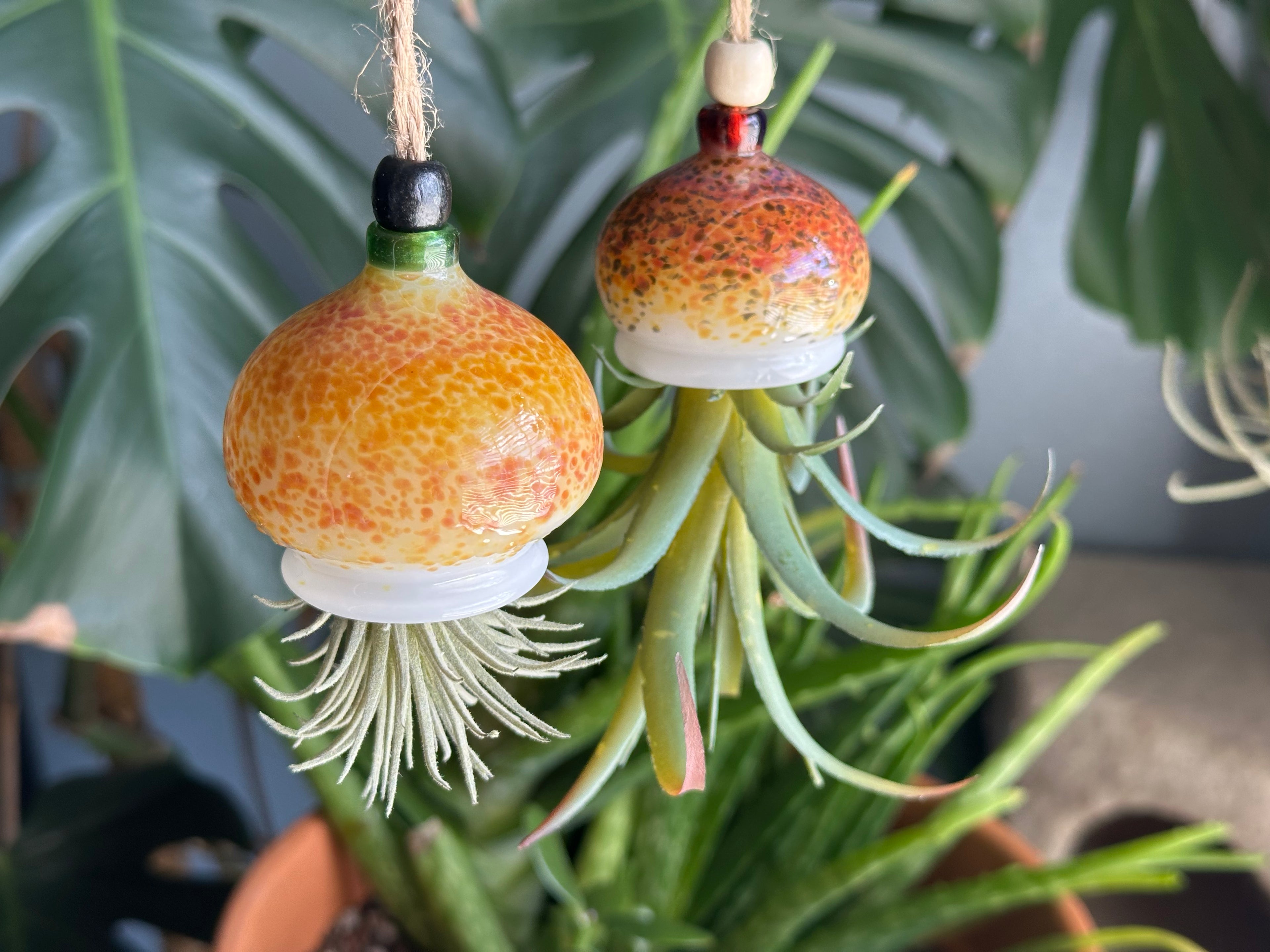 Jellyfish Airplant Hanger