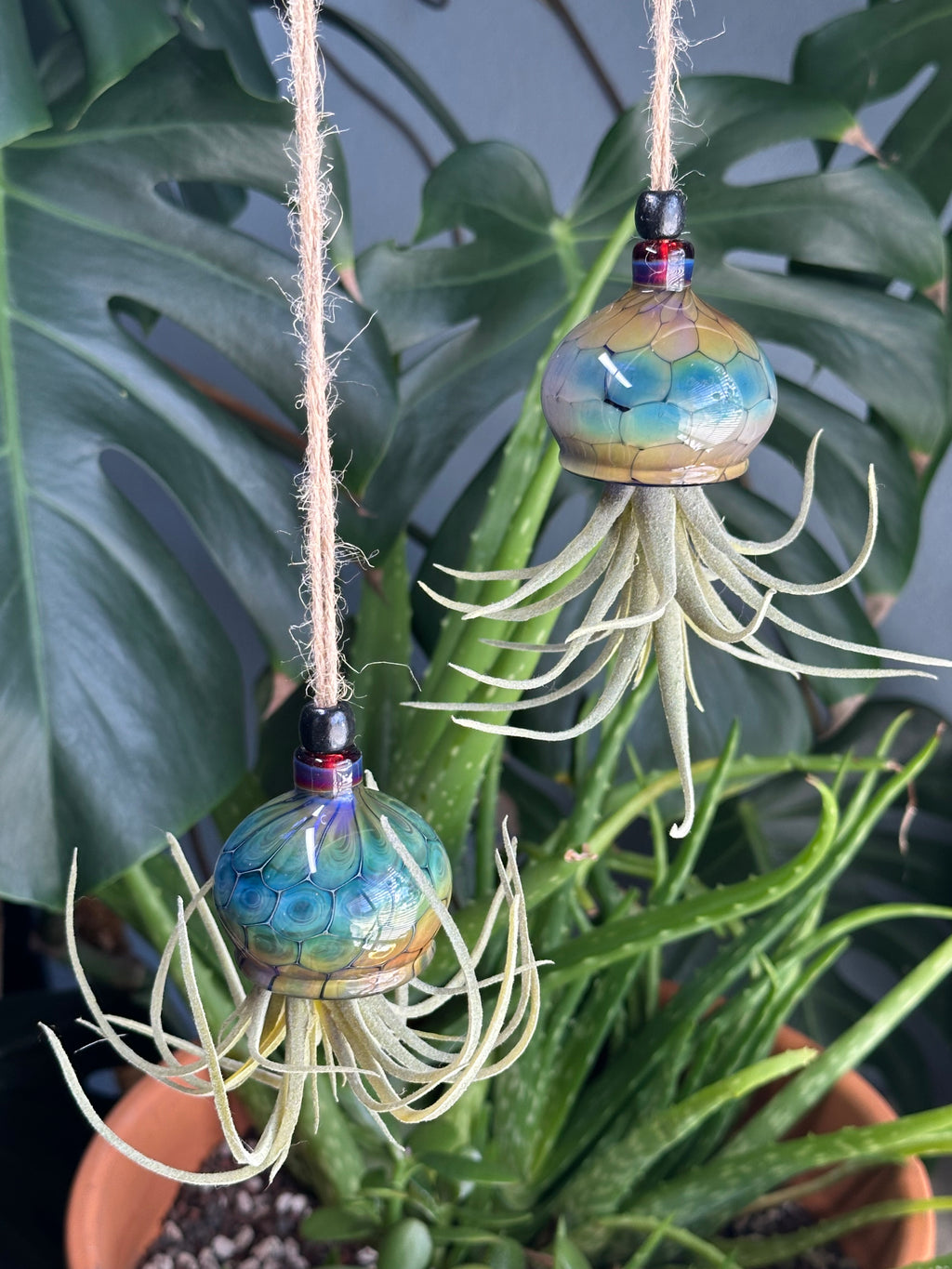 Jellyfish Airplant Hanger