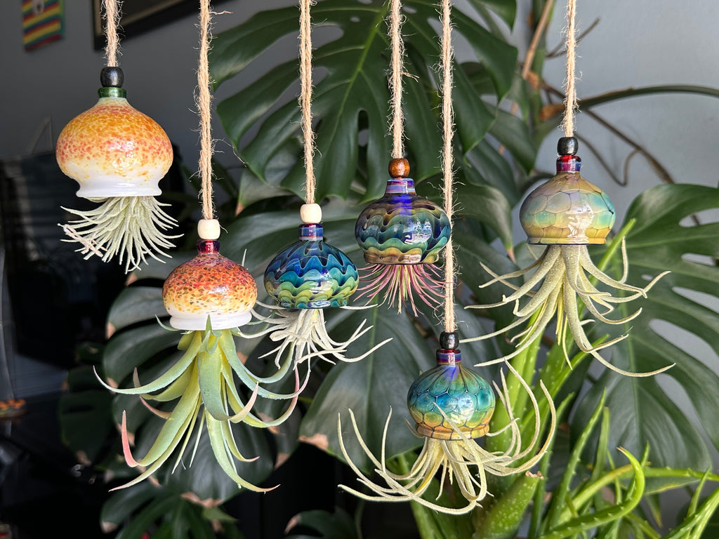 Jellyfish Airplant Hanger