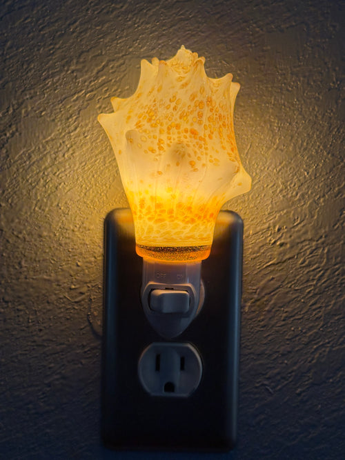 Blown Glass Carolina Conch Nightlight