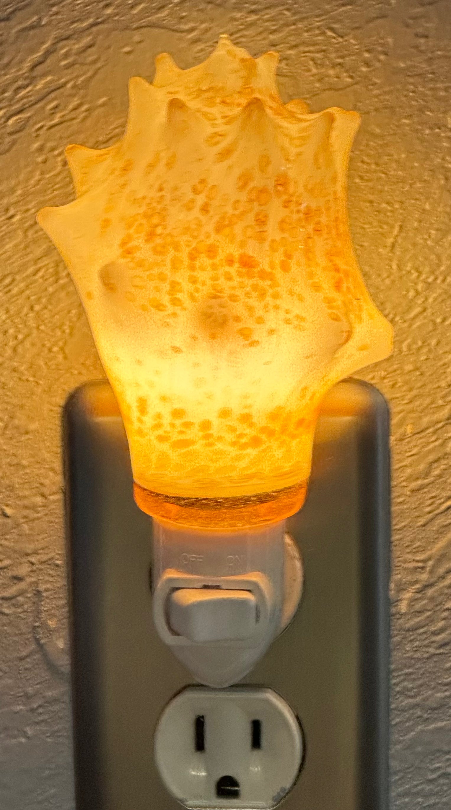 Blown Glass Carolina Conch Nightlight