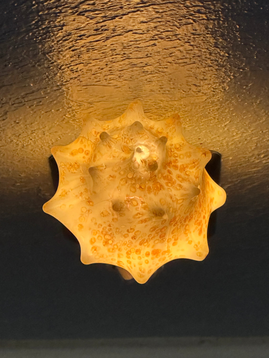 Blown Glass Carolina Conch Nightlight