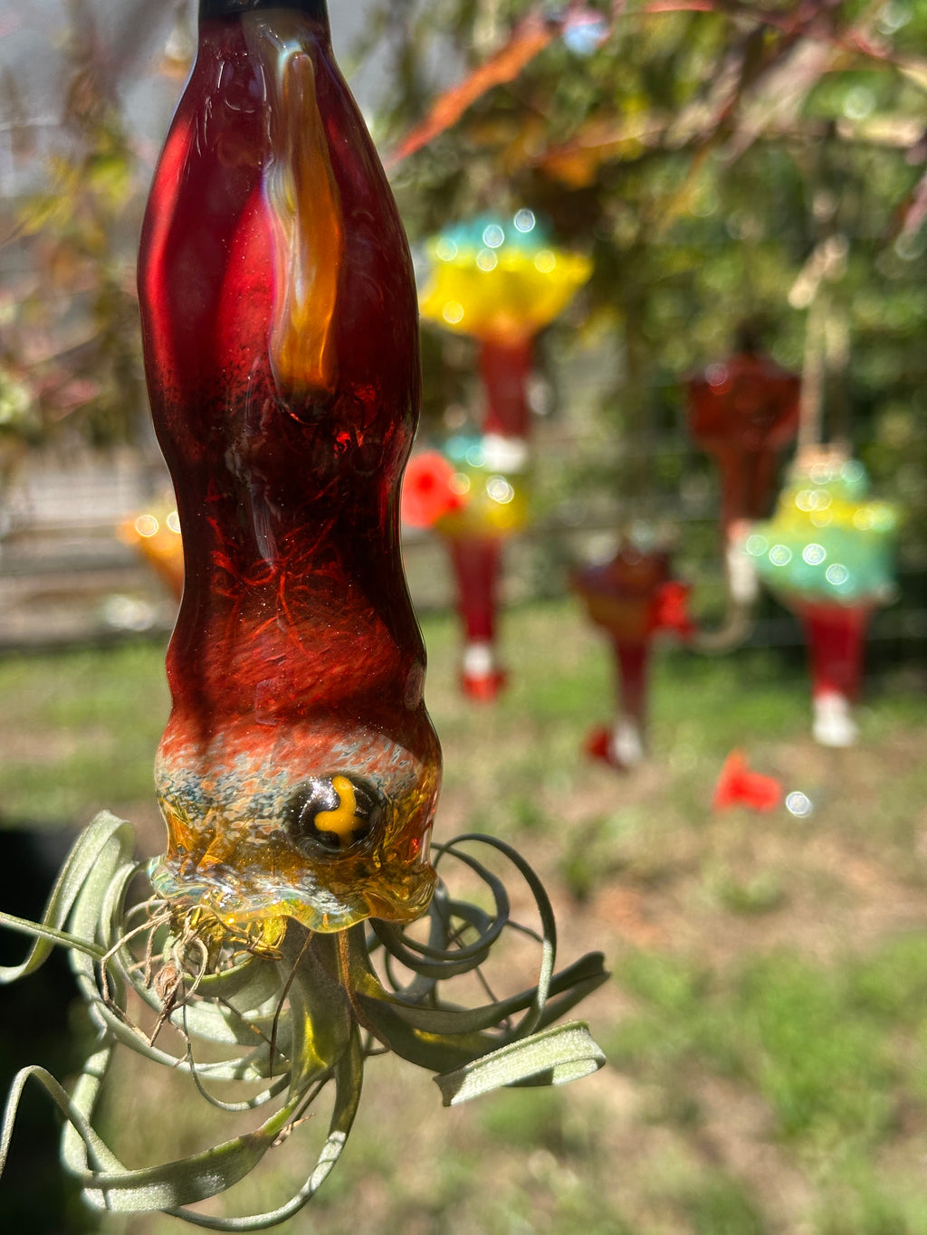 A flameworked and hand-spun blown glass squid air plant holder featuring detailed glass fins, custom eyes, and an integrated patented clip holding a live air plant.