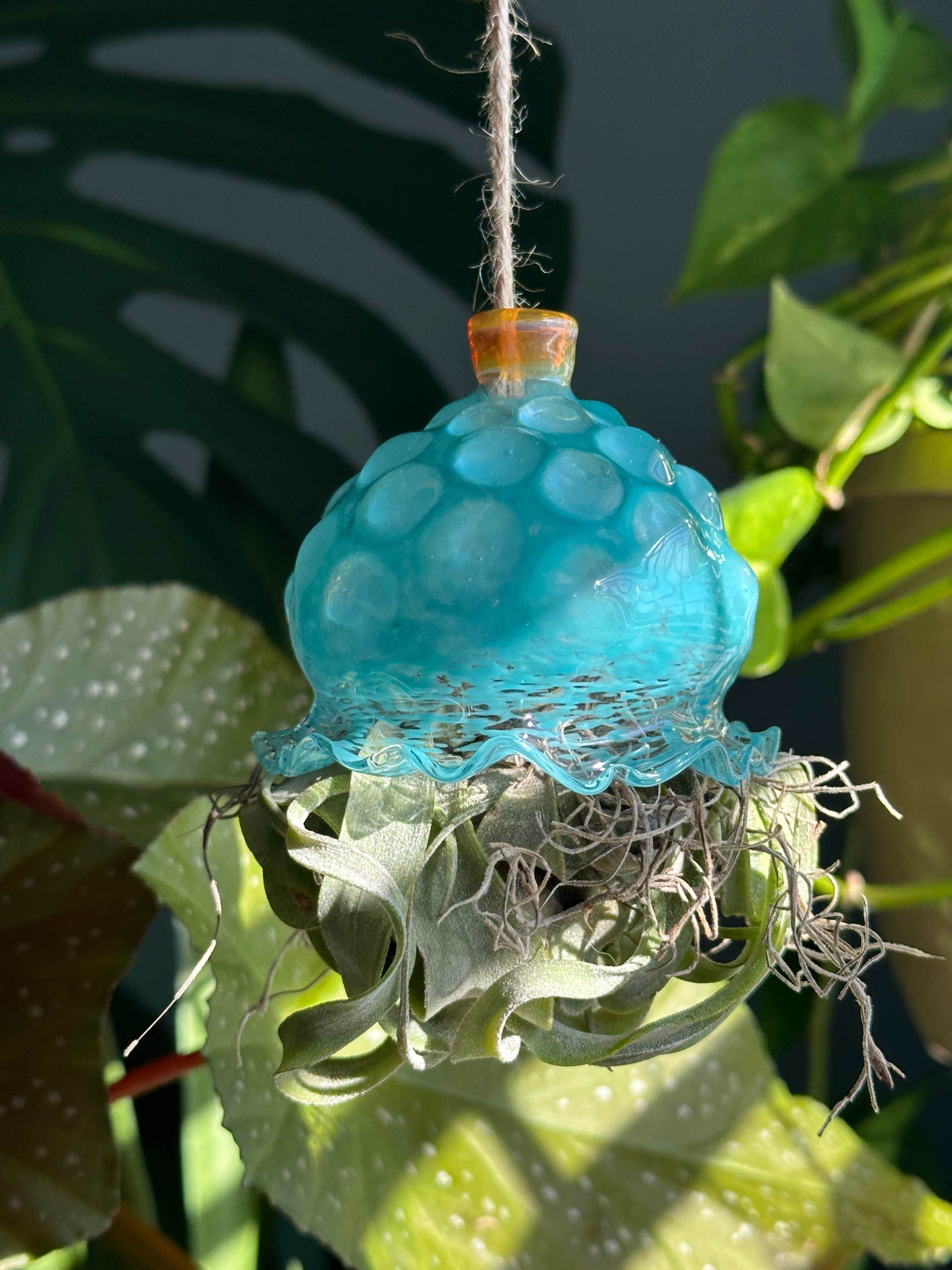 Blown Glass Jellyfish Air Plant Hanger
