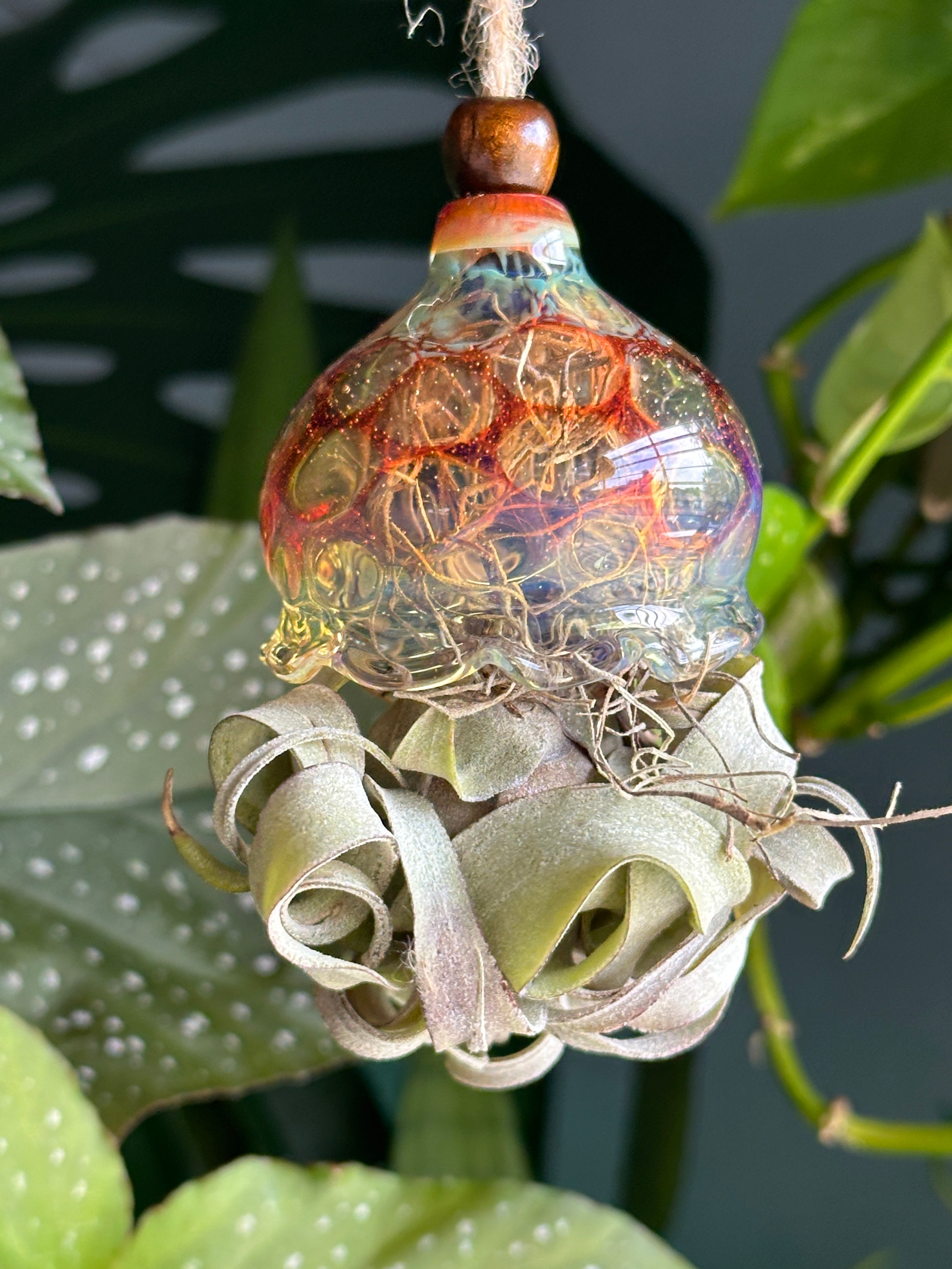 Blown Glass Jellyfish Air Plant Hanger
