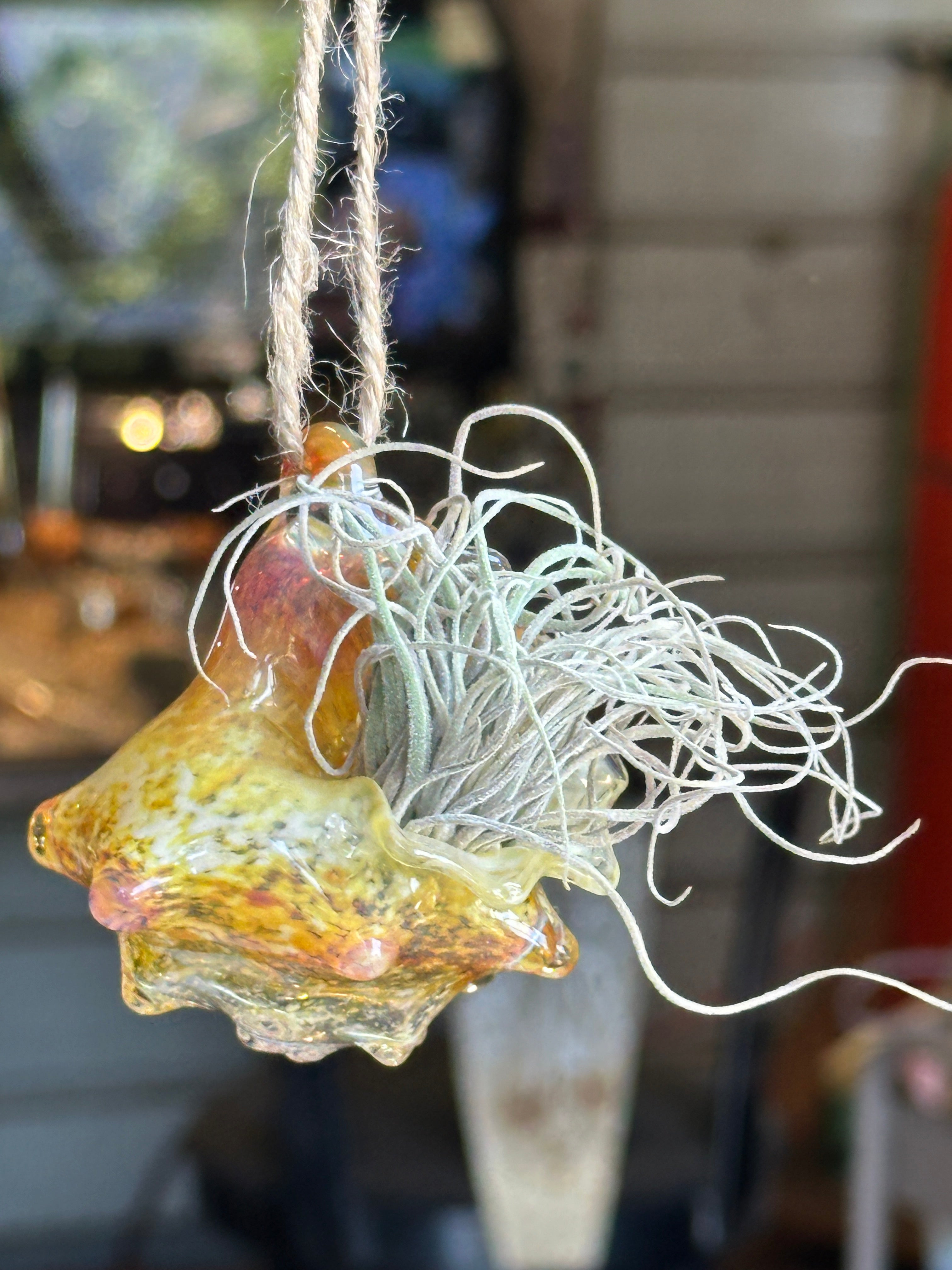 Hand-sculpted glass conch shell hanging planters in gift-ready premium packaging by Unclefish.