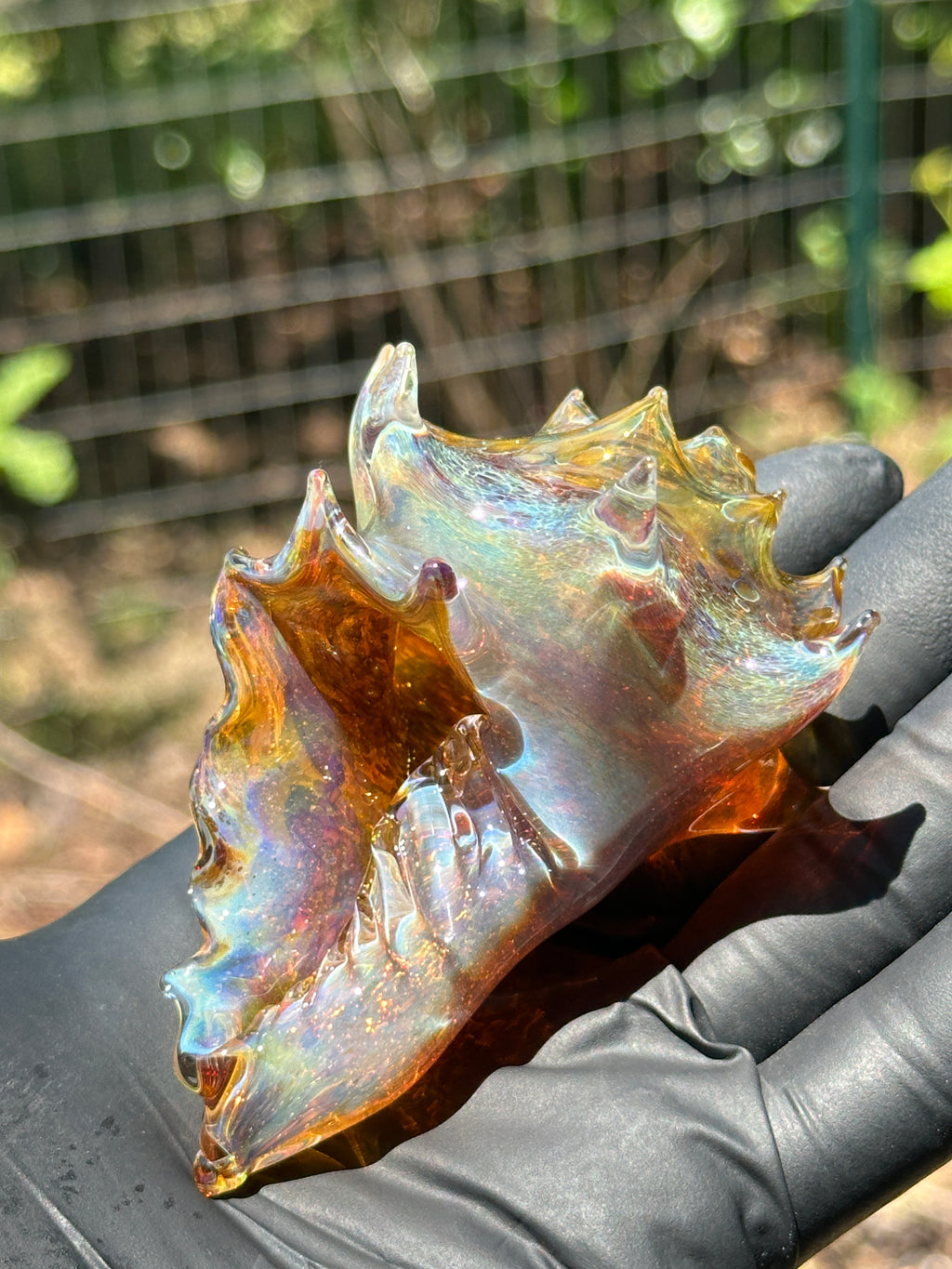 Hand-sculpted glass conch shell tabletop air plant holders in gift-ready premium packaging by Unclefish.