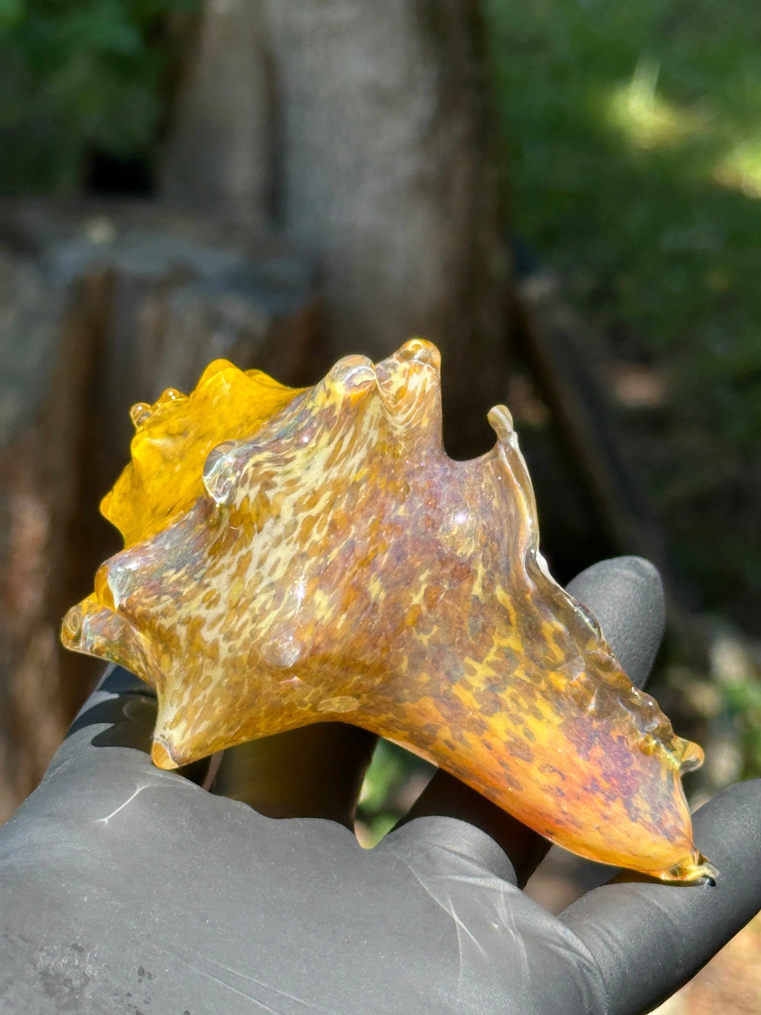 Hand-sculpted glass conch shell tabletop air plant holders in gift-ready premium packaging by Unclefish.