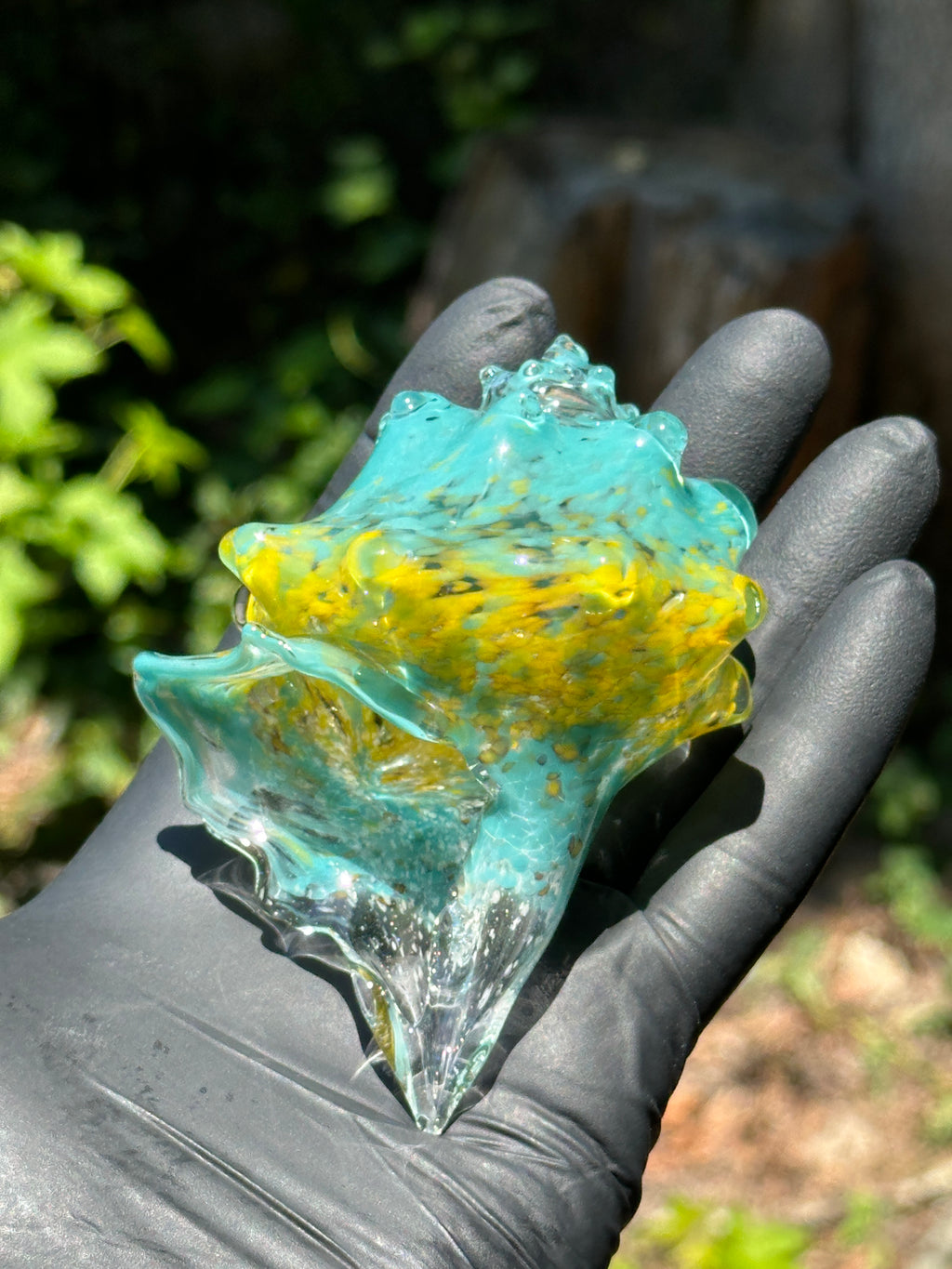 Hand-sculpted glass conch shell tabletop air plant holders in gift-ready premium packaging by Unclefish.