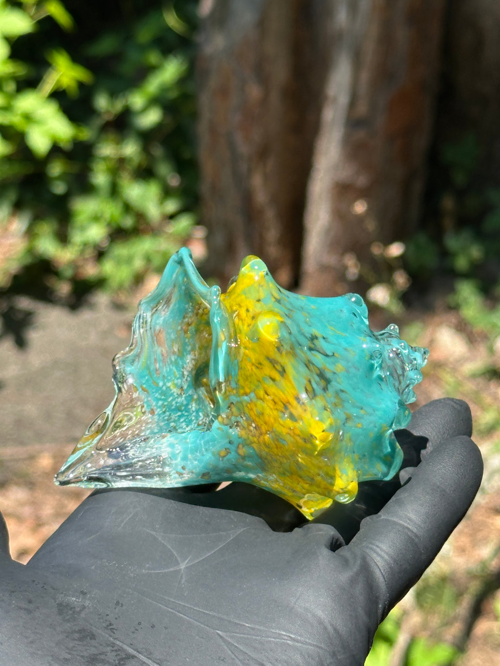 Hand-sculpted glass conch shell tabletop air plant holders in gift-ready premium packaging by Unclefish.