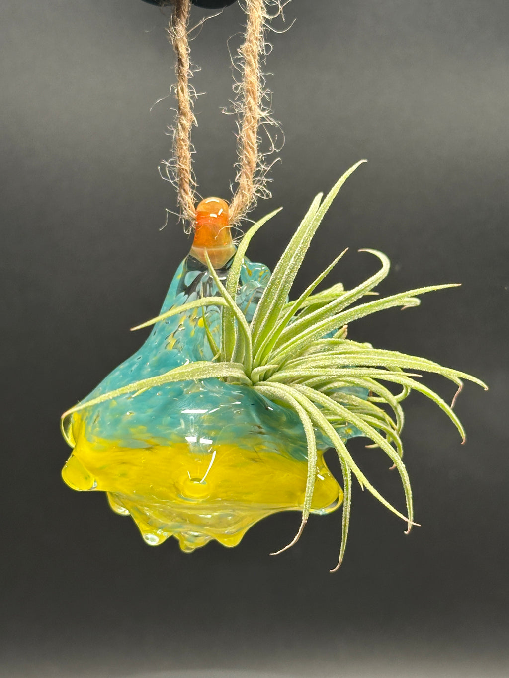 Hand-sculpted glass conch shell hanging planters in gift-ready premium packaging by Unclefish.