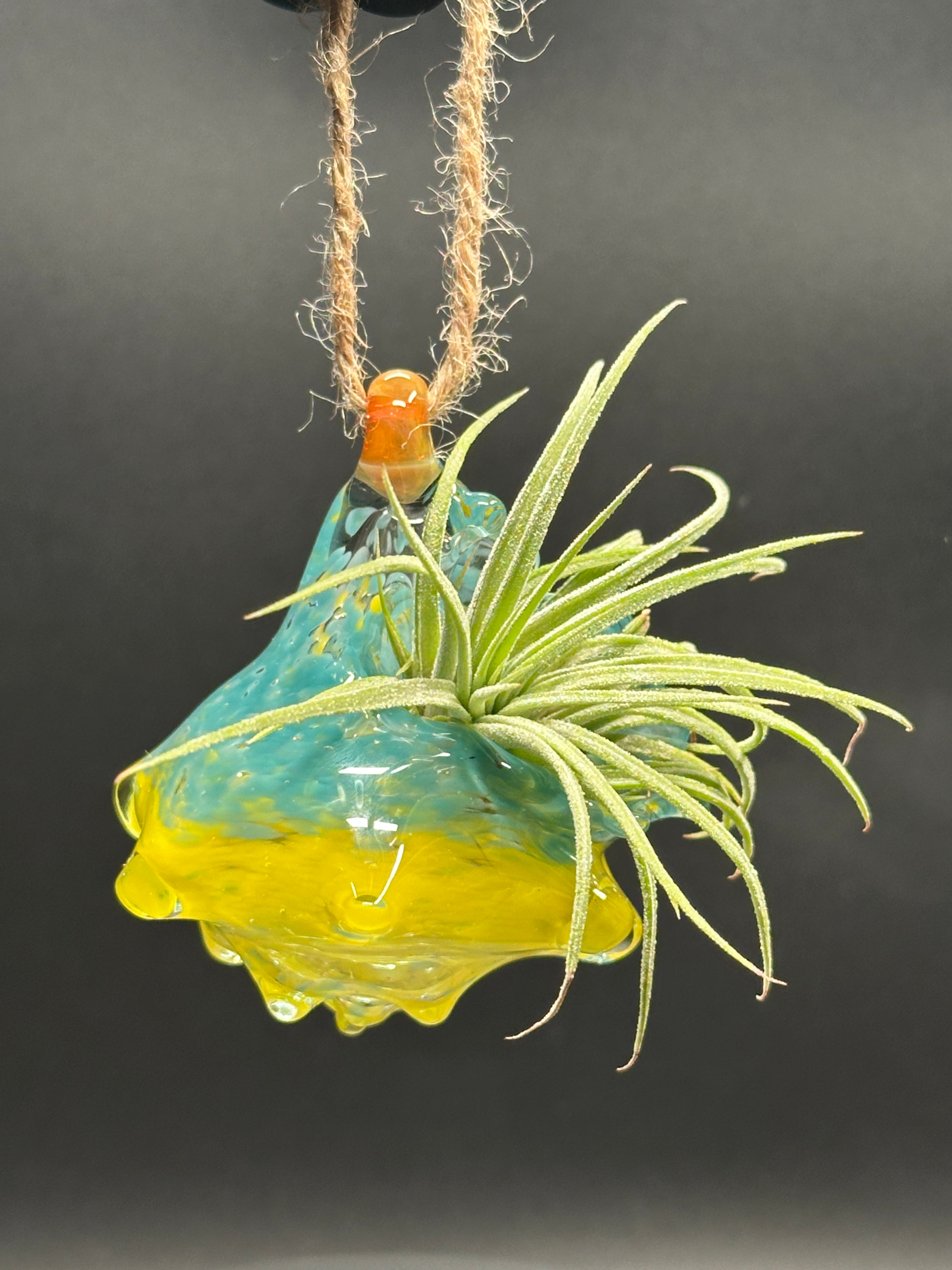 Hand-sculpted glass conch shell hanging planters in gift-ready premium packaging by Unclefish.