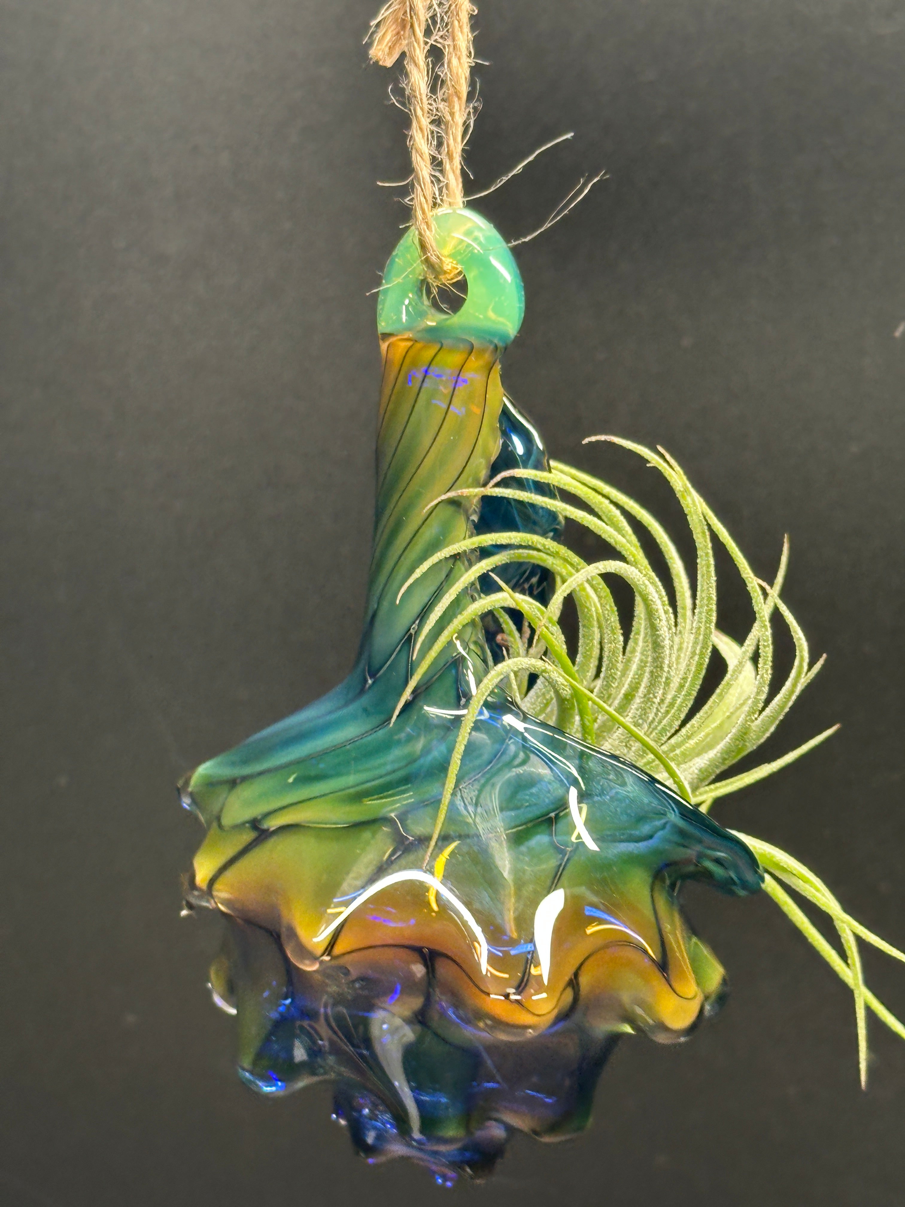 Blown Glass Conch Shell Hanging Air Plant Holder – Fume on Cobalt Series
