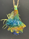 Blown Glass Conch Shell Hanging Air Plant Holder – Fume on Cobalt Series