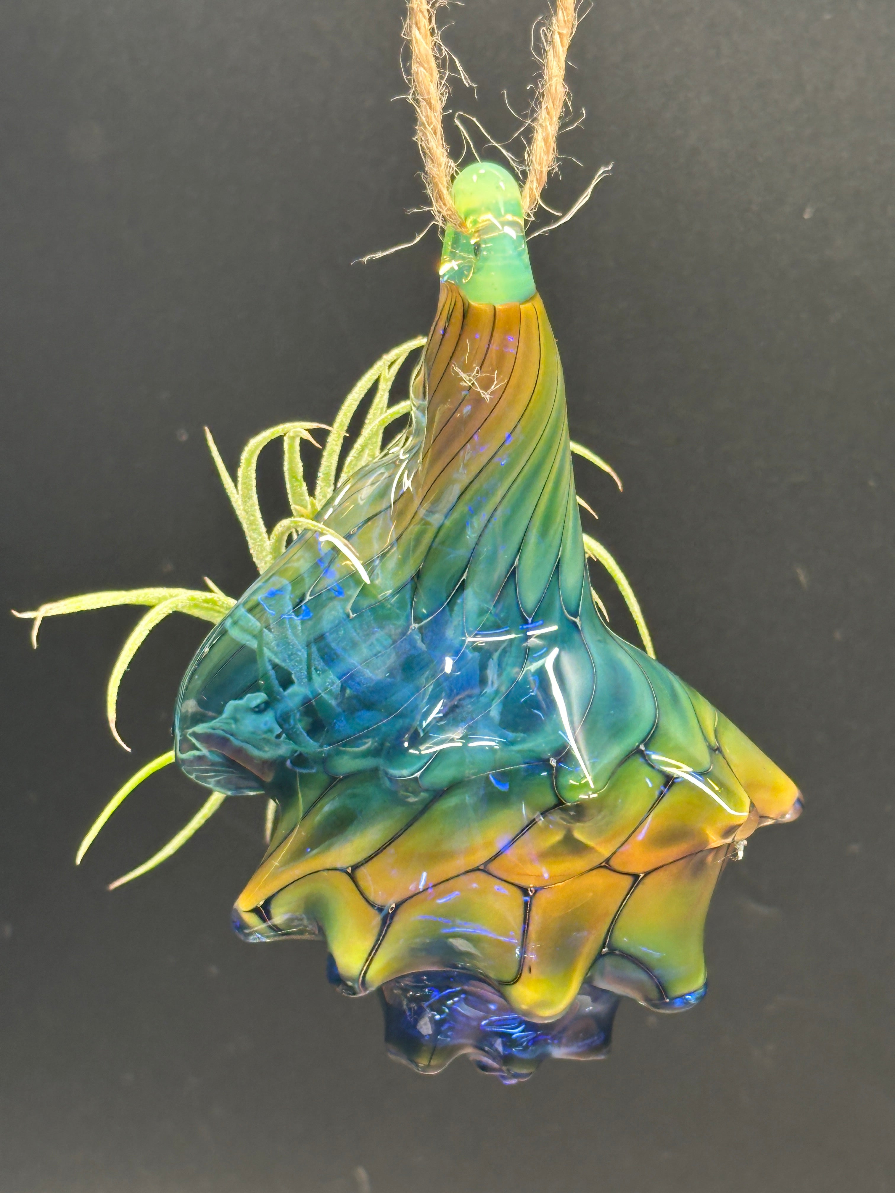 Blown Glass Conch Shell Hanging Air Plant Holder – Fume on Cobalt Series
