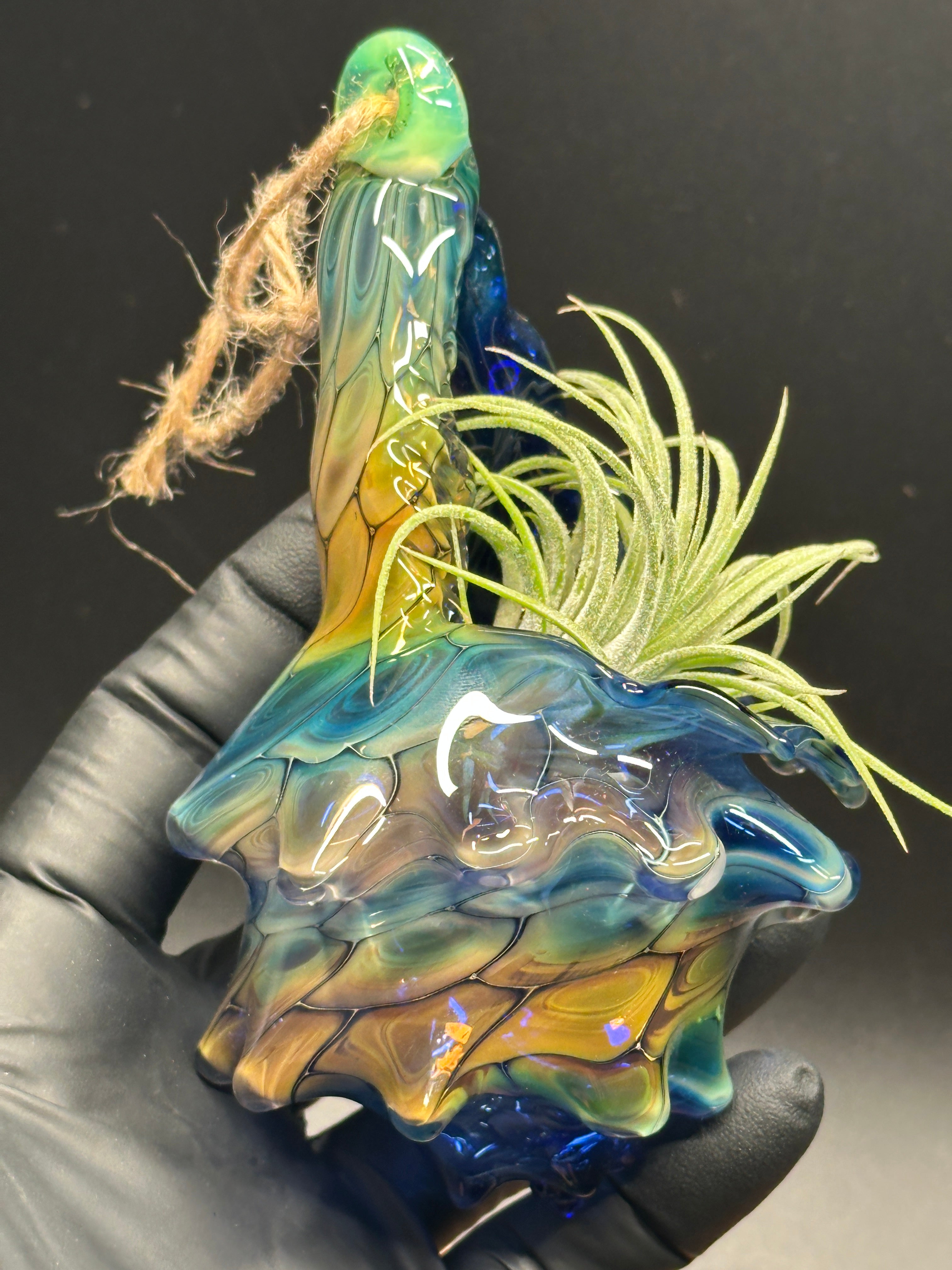 Blown Glass Conch Shell Hanging Air Plant Holder – Fume on Cobalt Series