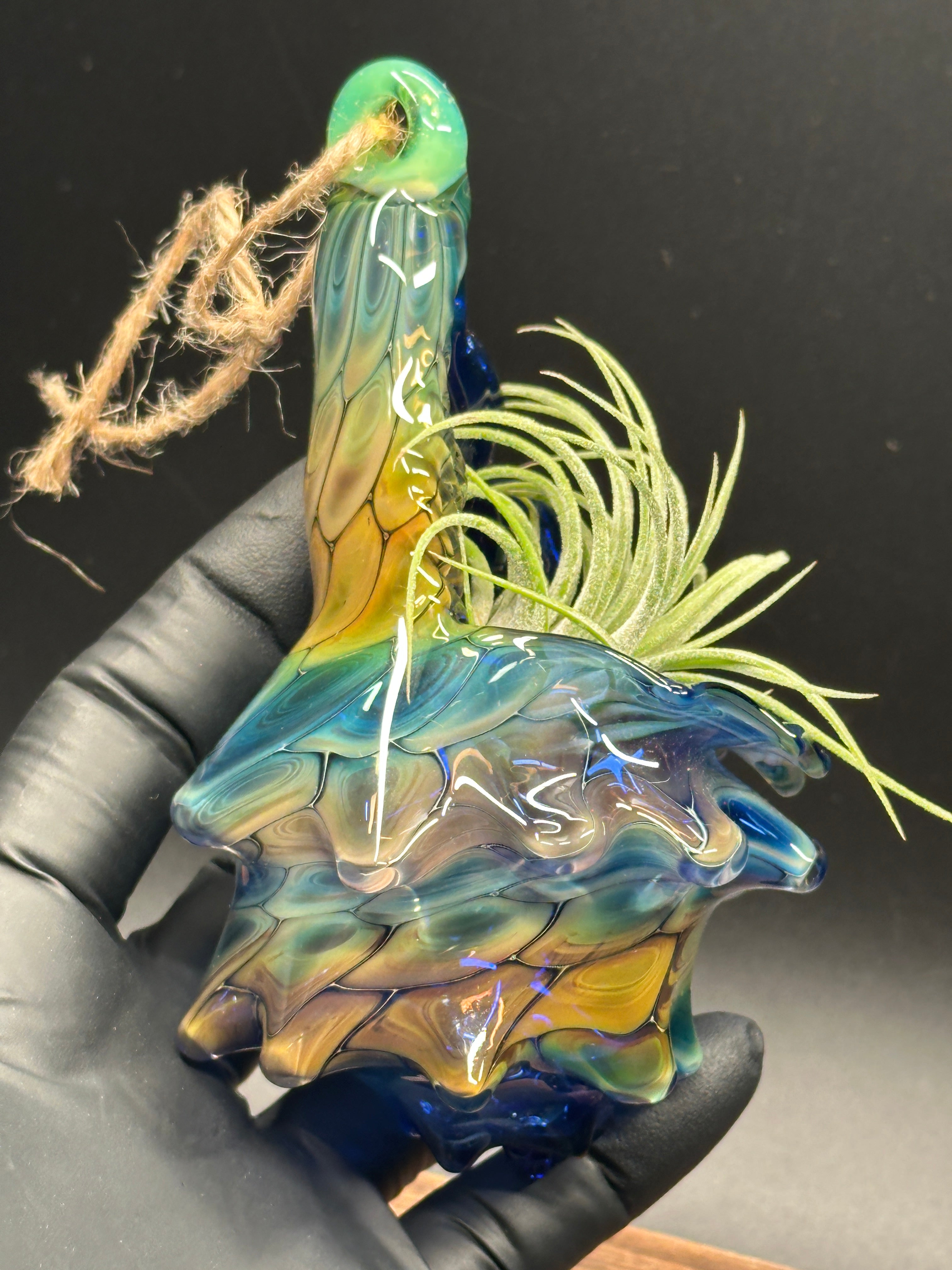 Blown Glass Conch Shell Hanging Air Plant Holder – Fume on Cobalt Series