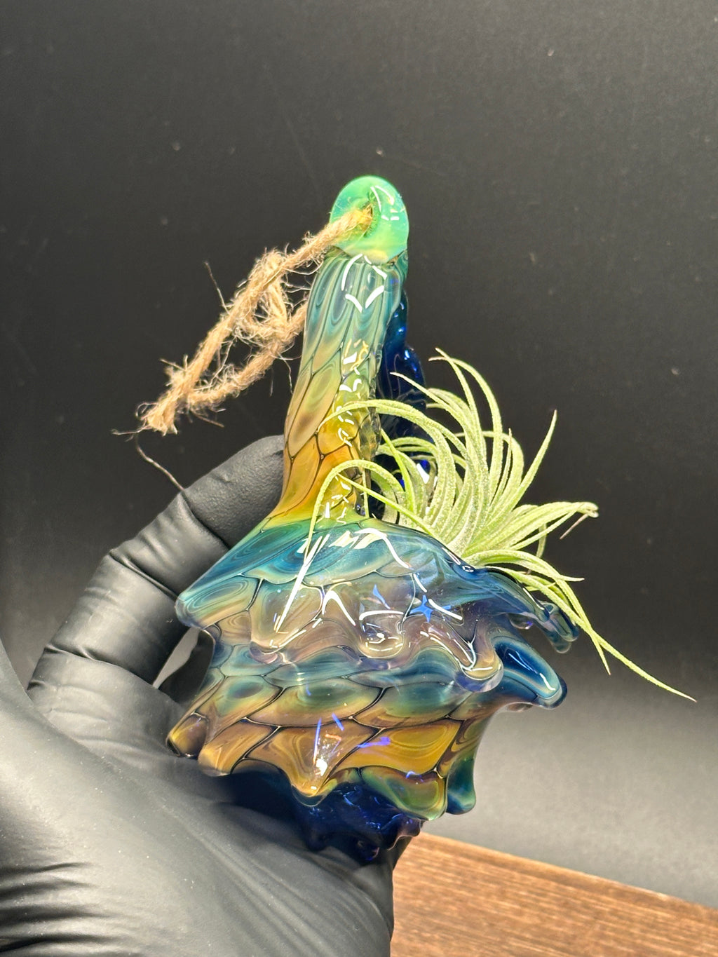 Blown Glass Conch Shell Hanging Air Plant Holder – Fume on Cobalt Series