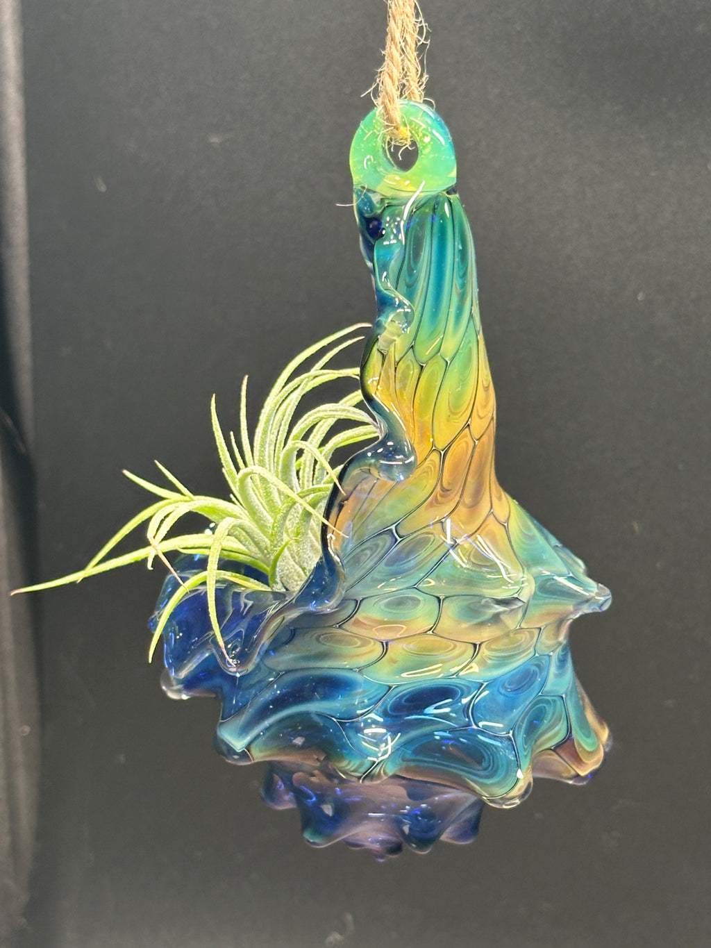 Blown Glass Conch Shell Hanging Air Plant Holder – Fume on Cobalt Series