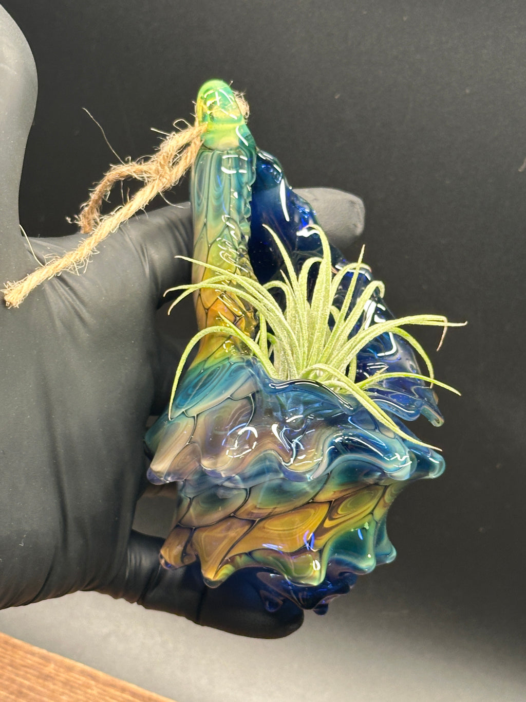 Blown Glass Conch Shell Hanging Air Plant Holder – Fume on Cobalt Series