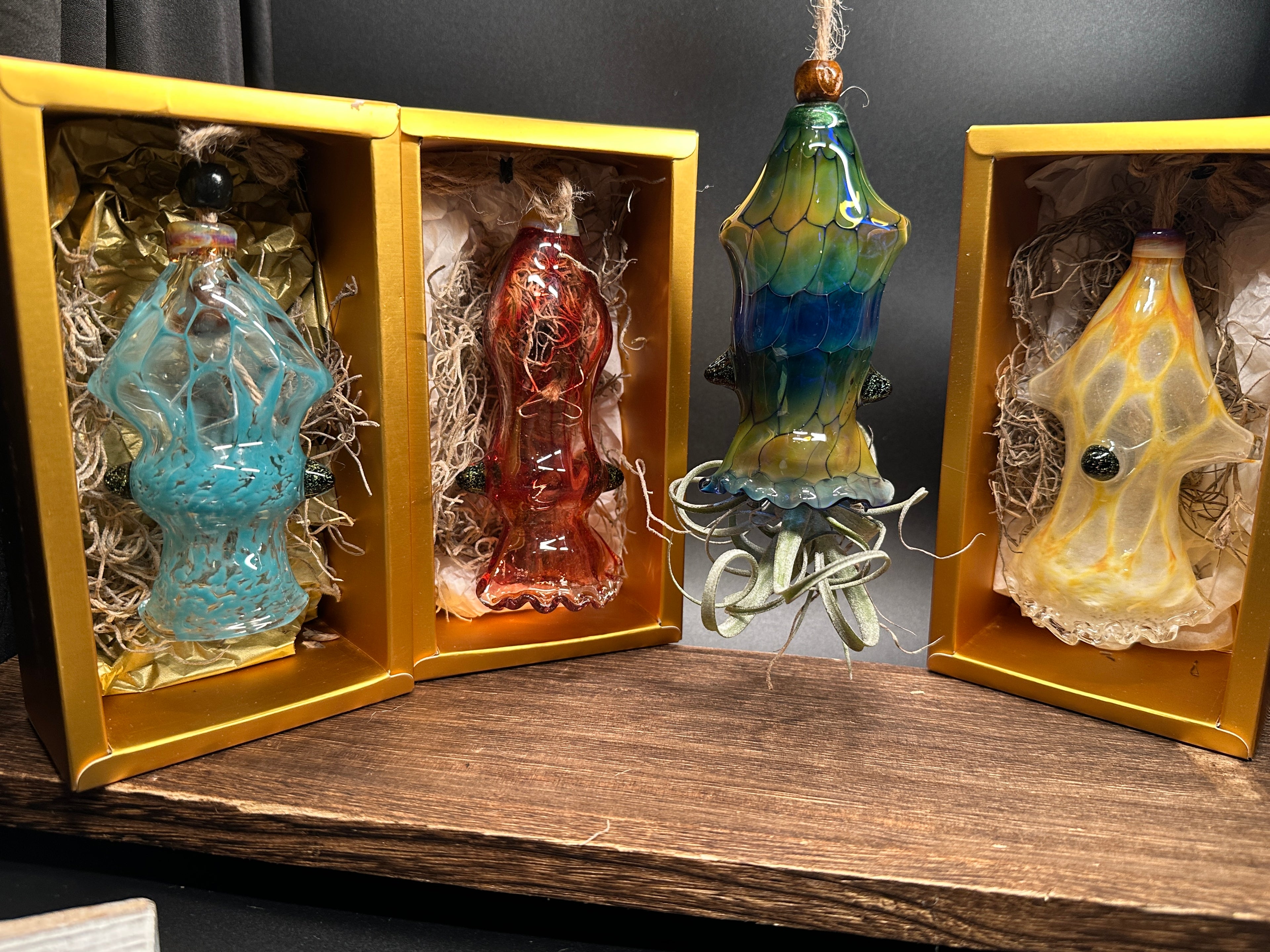 A flameworked and hand-spun blown glass squid air plant holder featuring detailed glass fins, custom eyes, and an integrated patented clip holding a live air plant.