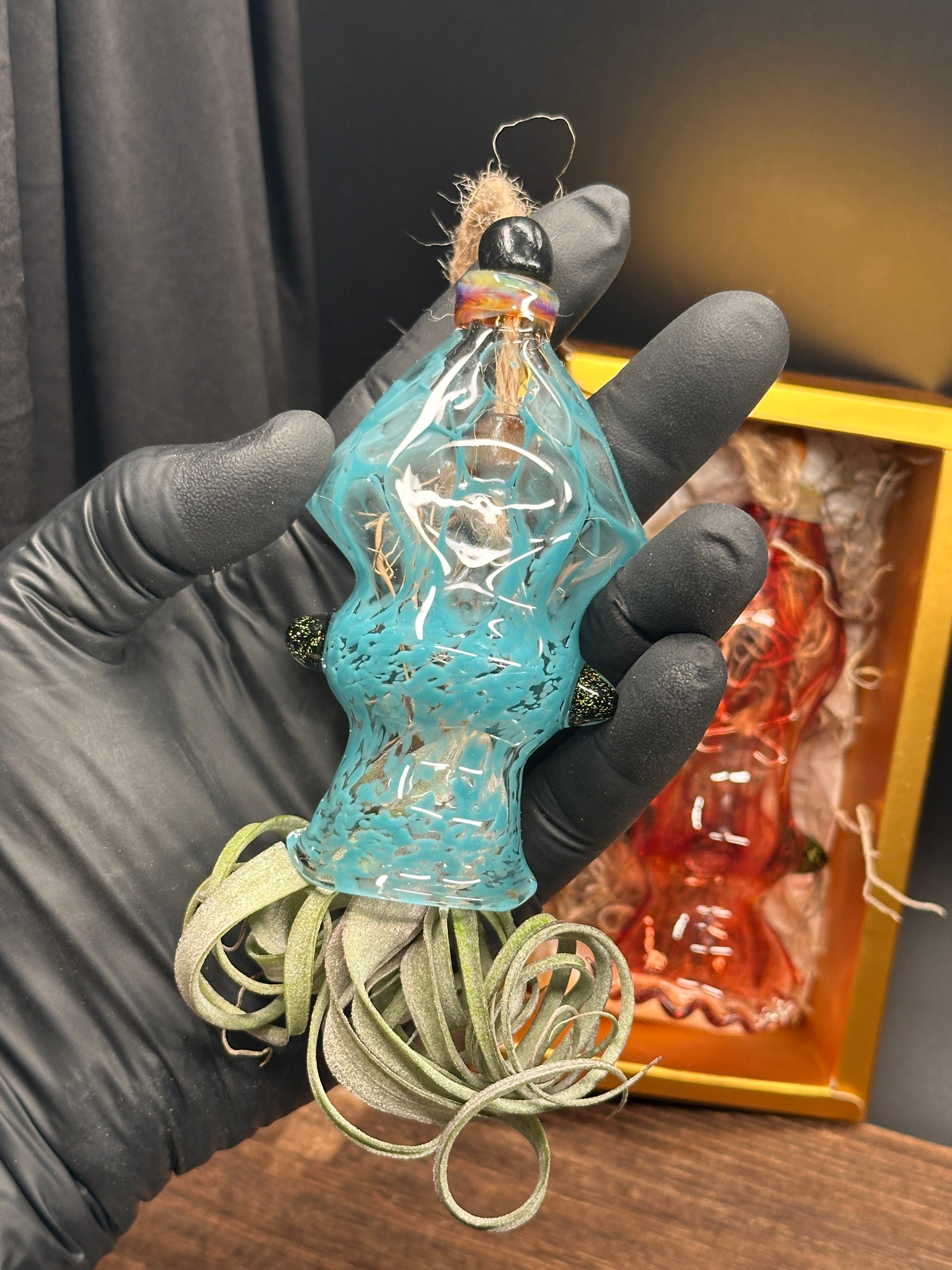 A flameworked and hand-spun blown glass squid air plant holder featuring detailed glass fins, custom eyes, and an integrated patented clip holding a live air plant.