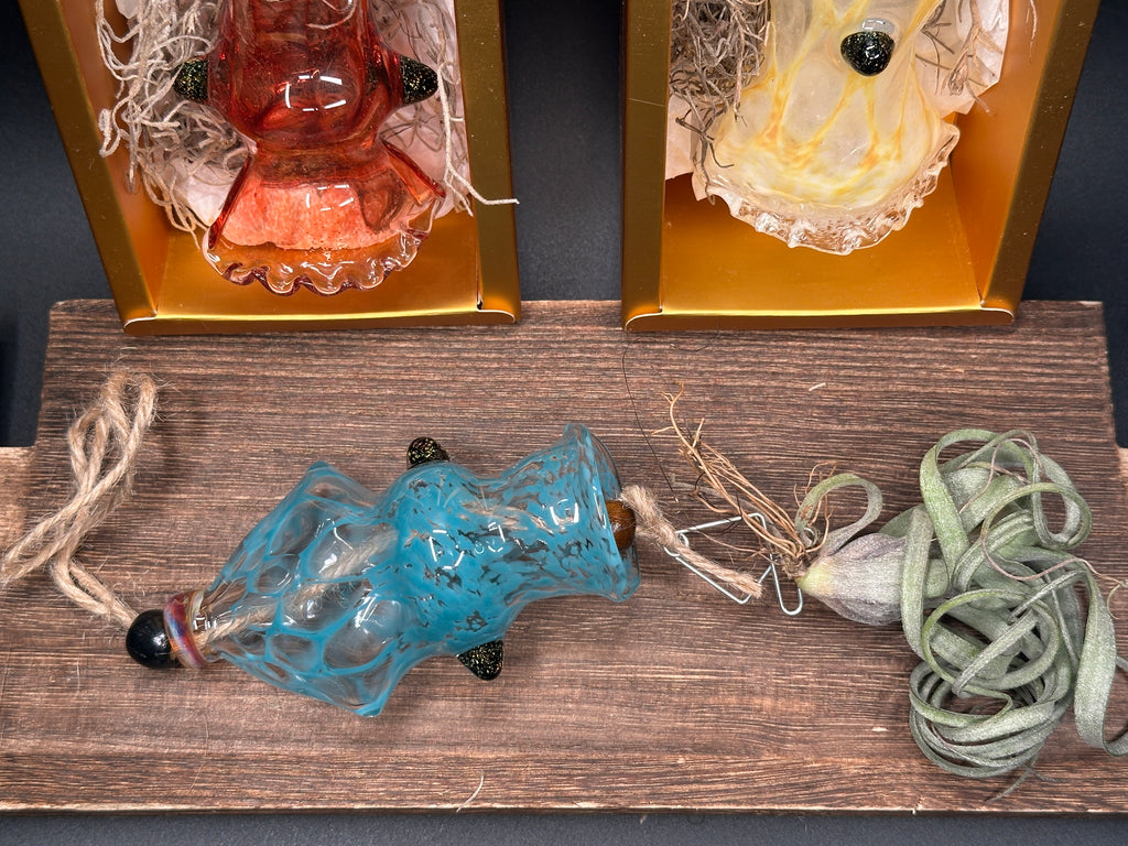 A flameworked and hand-spun blown glass squid air plant holder featuring detailed glass fins, custom eyes, and an integrated patented clip holding a live air plant.