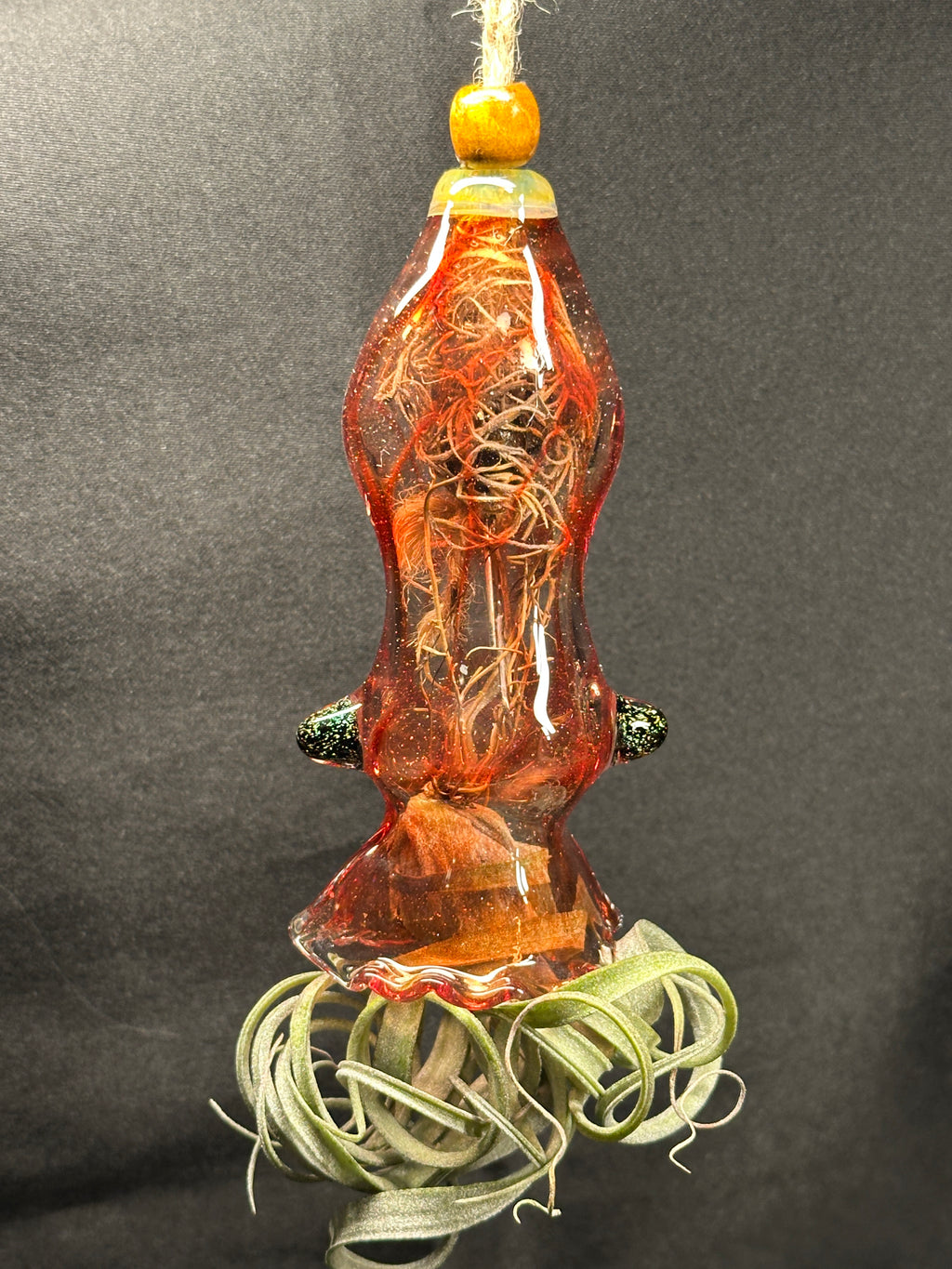 A flameworked and hand-spun blown glass squid air plant holder featuring detailed glass fins, custom eyes, and an integrated patented clip holding a live air plant.