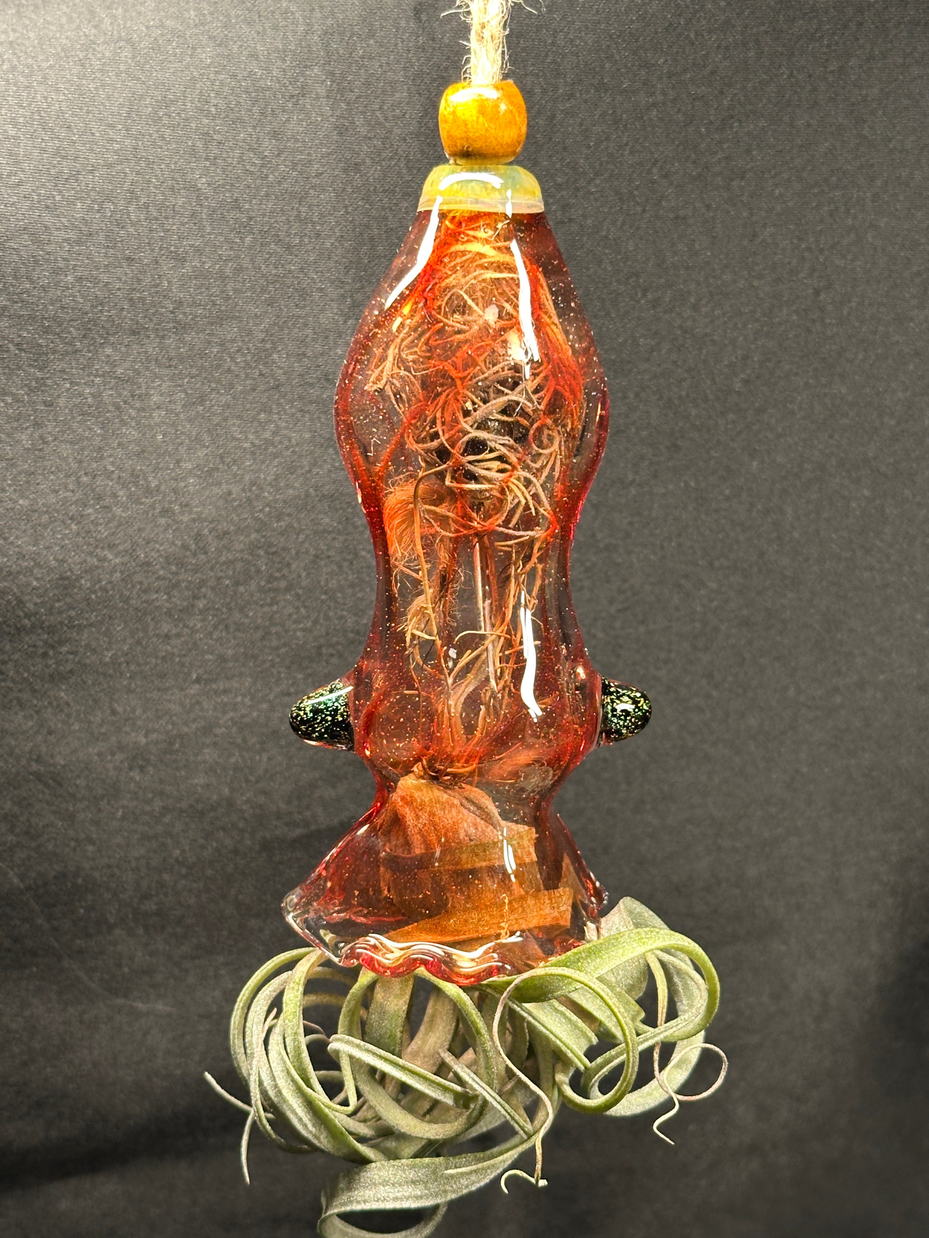 A flameworked and hand-spun blown glass squid air plant holder featuring detailed glass fins, custom eyes, and an integrated patented clip holding a live air plant.