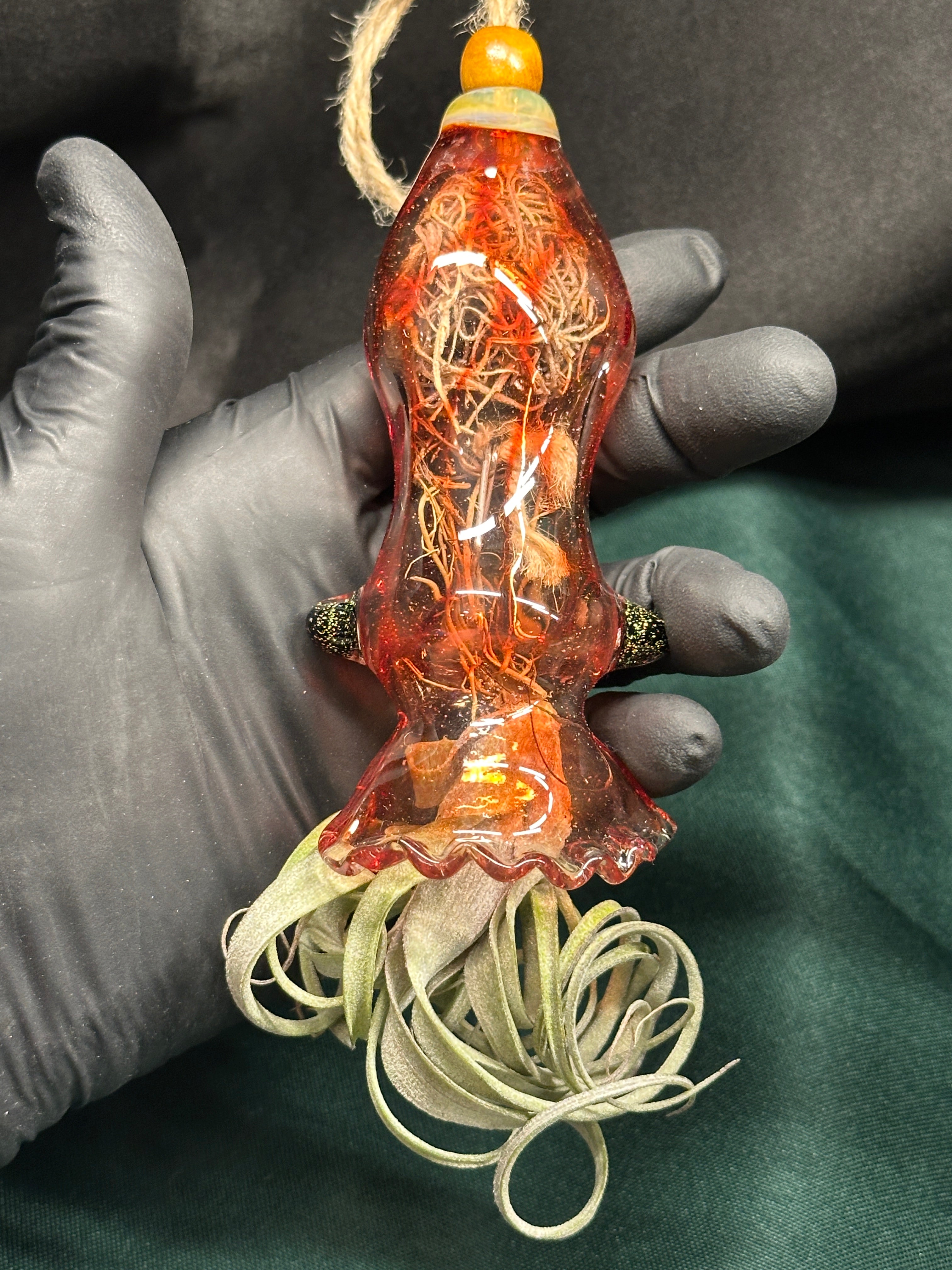 A flameworked and hand-spun blown glass squid air plant holder featuring detailed glass fins, custom eyes, and an integrated patented clip holding a live air plant.