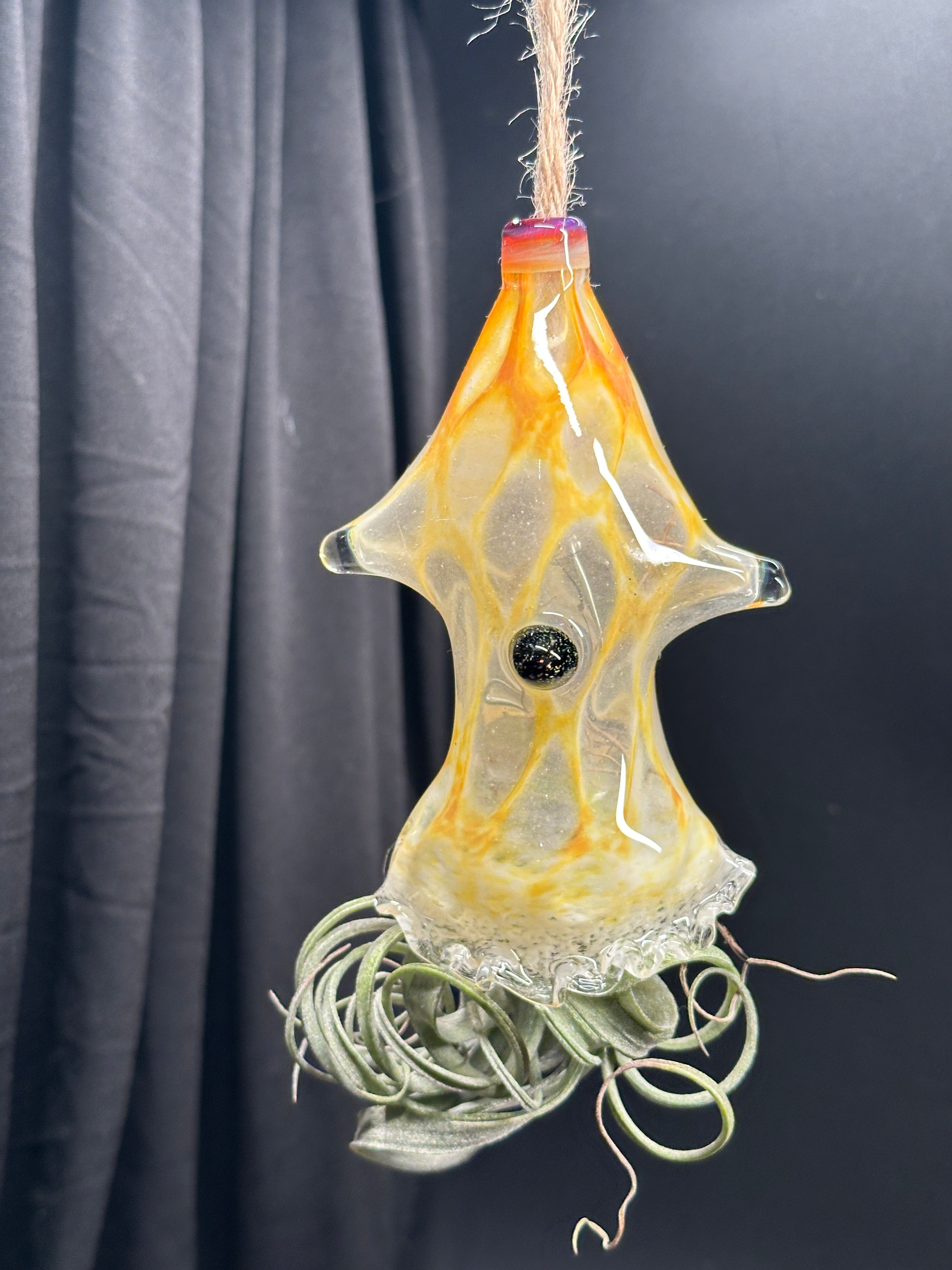 A flameworked and hand-spun blown glass squid air plant holder featuring detailed glass fins, custom eyes, and an integrated patented clip holding a live air plant.