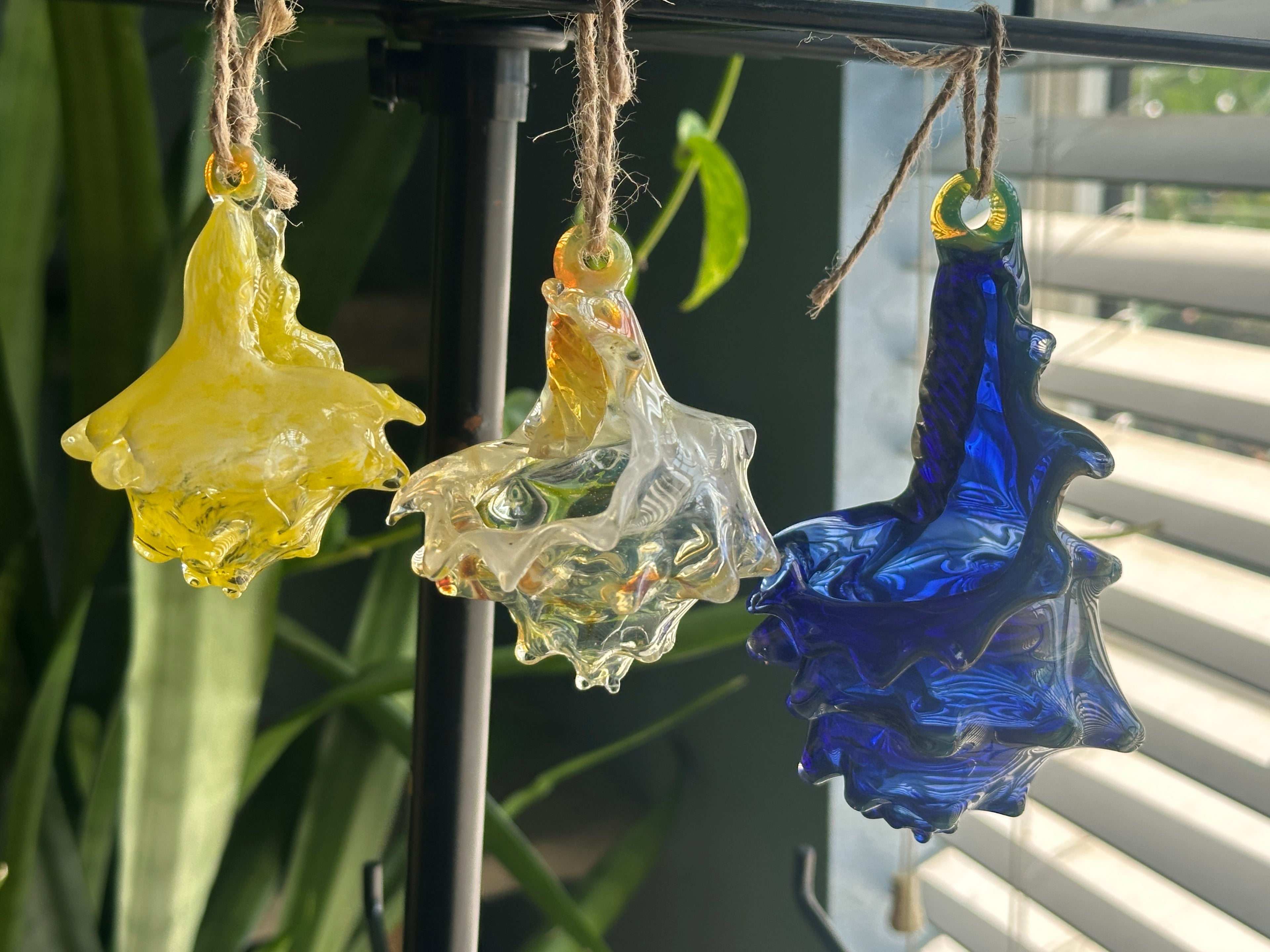 Hand-sculpted glass conch shell hanging planters in gift-ready premium packaging by Unclefish.