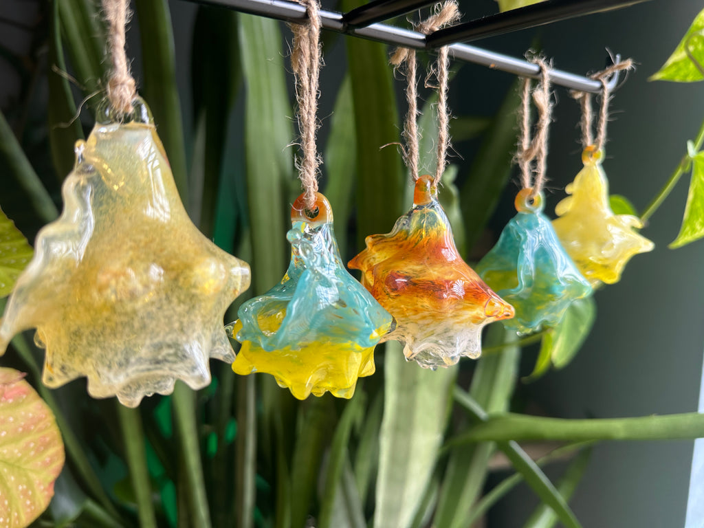 Hand-sculpted glass conch shell hanging planters in gift-ready premium packaging by Unclefish.