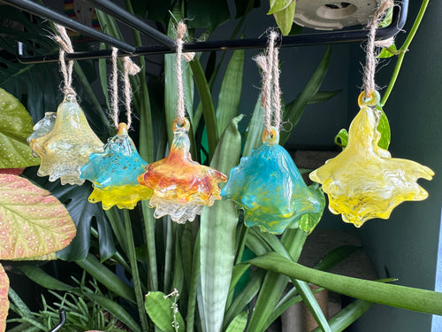 Hand-sculpted glass conch shell hanging planters in gift-ready premium packaging by Unclefish.