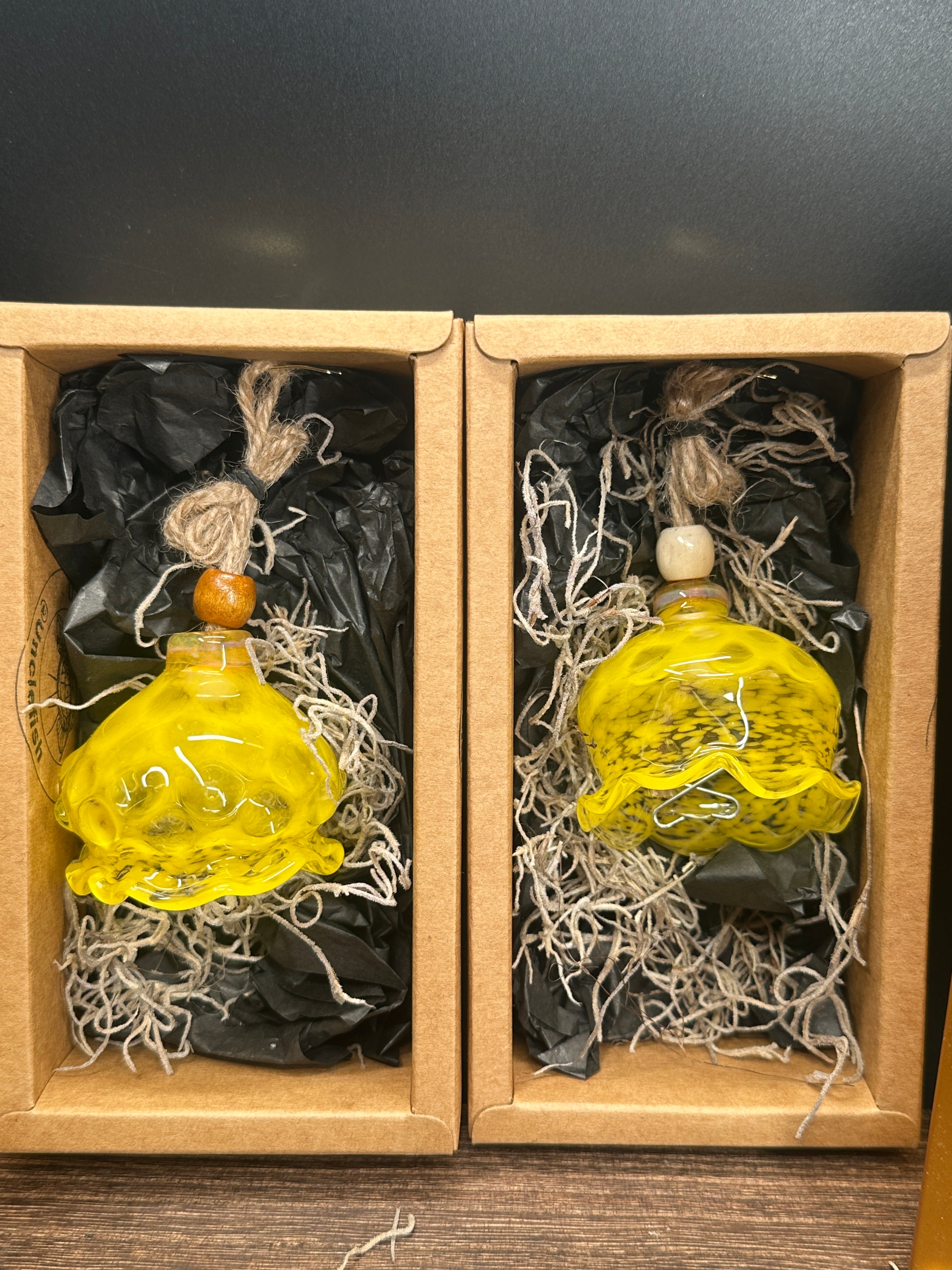 Blown Glass Jellyfish Air Plant Hanger